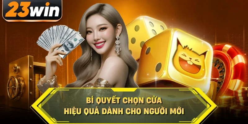 Bí quyết chọn cửa hiệu quả dành cho người mới