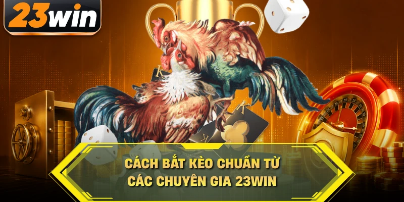 Cách bắt kèo chuẩn từ các chuyên gia 23WIN