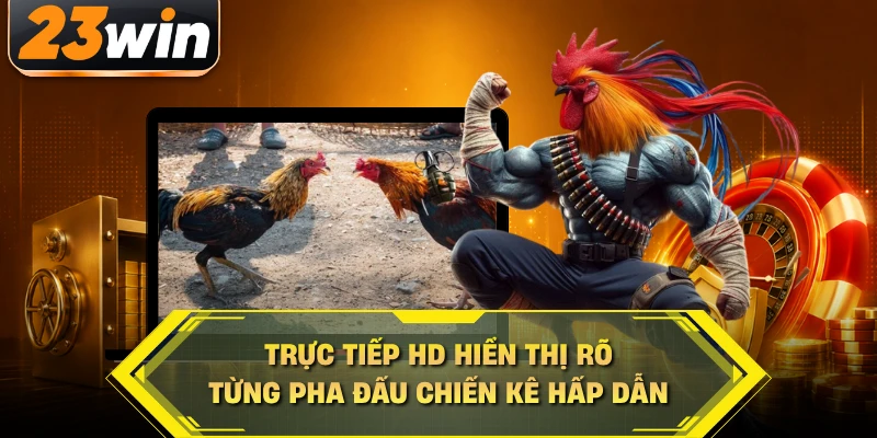 Trực tiếp HD hiển thị rõ từng pha đấu chiến kê hấp dẫn